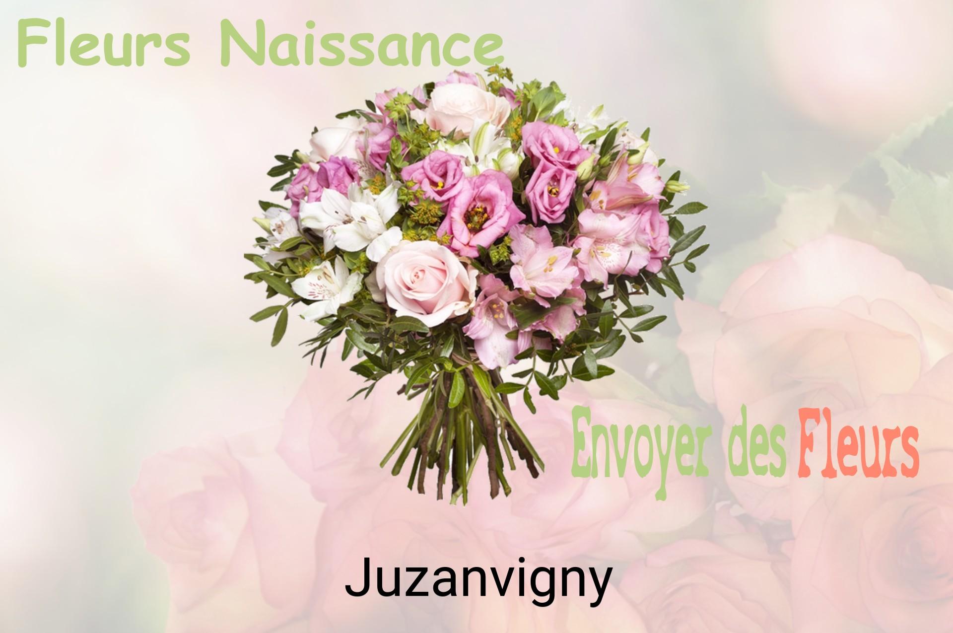 Bouquet de fleurs de naissance livré à Juzanvigny